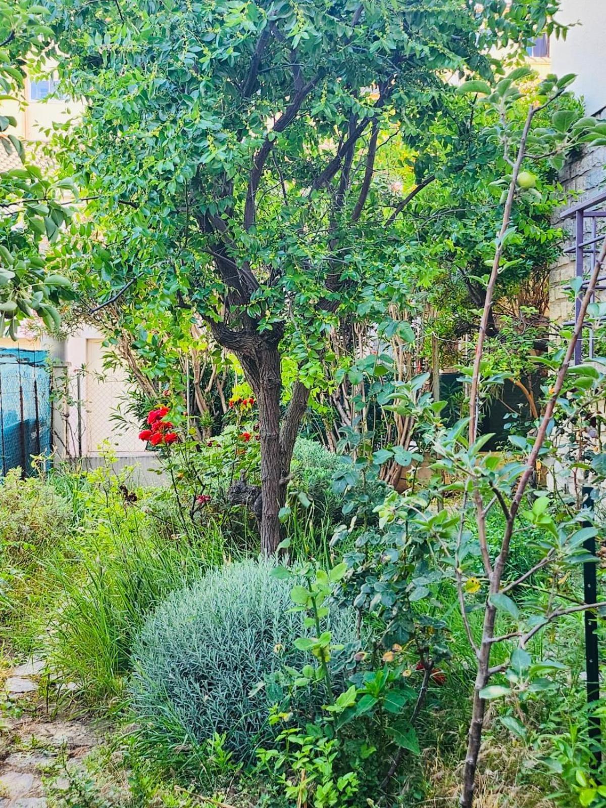 Appartement Paisible Pour 4 Personnes Montpellier Exterior photo
